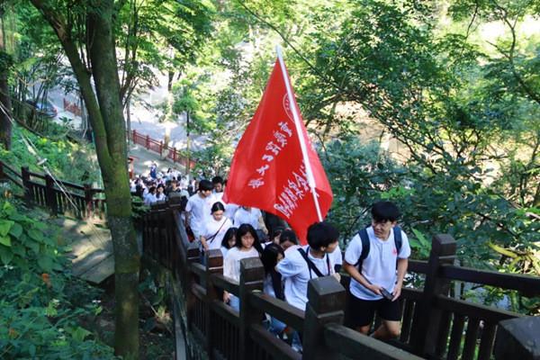 竞技宝one